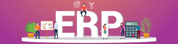 Enterprise Resource Planning (ERP)